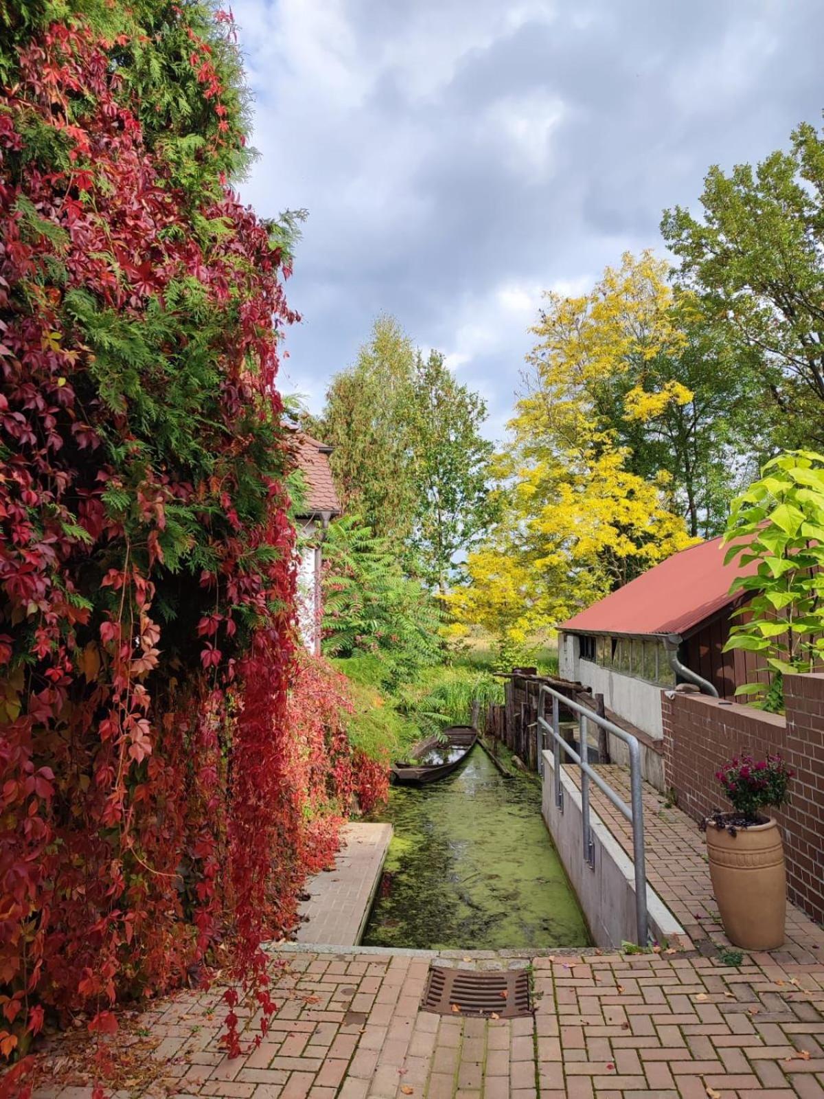 Pension Am Stadtgraben Hotel ลืบเบอเนา ภายนอก รูปภาพ